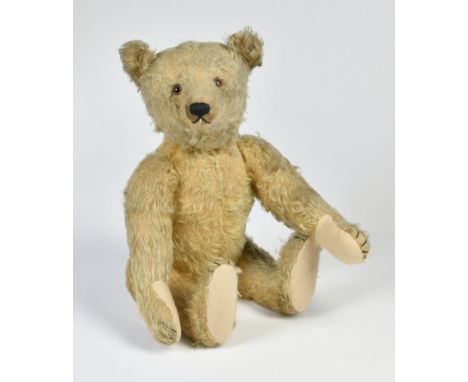 Steiff, Bär, Germany VK, 50 cm, abgeliebt, Pfoten neu?, sehr schöner Ausdruck