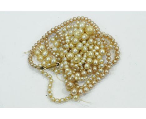 Pearl necklace 