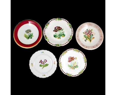 Collection of mostly 19th century cabinet plates, including Worcester Chamberlain's and Minton, mostly handpainted with botan