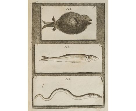 BRADLEY, RICHARDA PHILOSOPHICAL ACCOUNT OF THE WORKS OF NATURE... London: W. Mears, 1721. First edition, 4to, 28 plates, mode