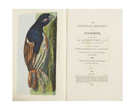 WHITE, GILBERTTHE NATURAL HISTORY OF SELBORNE London: C. and J. Rivington..., 1825. 2 volumes, 8vo, 2 frontispieces (one hand