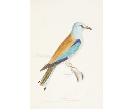 MEYER, HENRY LEONARDILLUSTRATIONS OF BRITISH BIRDS London: Longman &amp; Co., [n.d., 1835-1841] First edition, 4 volumes, fol