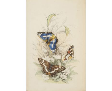 HUMPHREYS, HENRY NOELTHE GENERA AND SPECIES OF BRITISH BUTTERFLIES London: Paul Jerrard and Son, [n.d. but 1859] Small 4to, h