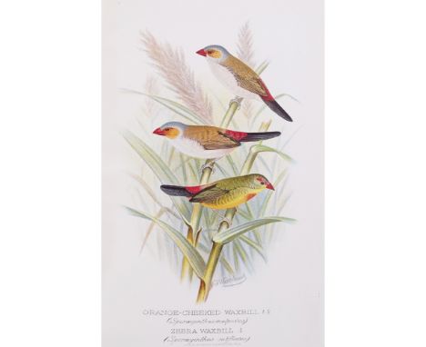 BUTLER, ARTHUR G.FOREIGN FINCHES IN CAPTIVITY Hull &amp; London: Brumby and Clarke, 1899. Second edition, 8vo, 60 chromolitho