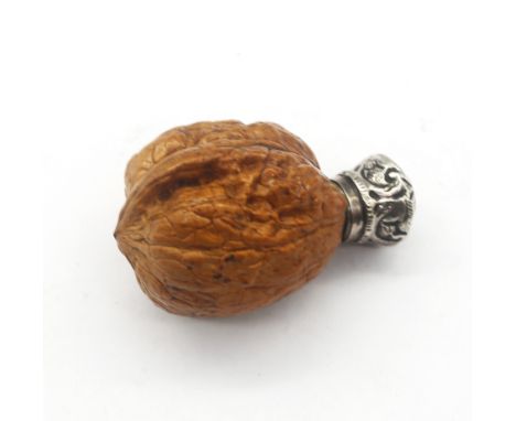 A decorative and novelty walnut shell with added white metal probably silver top, in the form of a scent bottle but walnut be