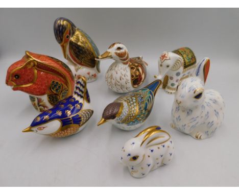 A group of 8 Royal crown Derby paperweights to include an Infant Indian Elephant , A Wigeon Duck , Red Squirrel, Kingfisher, 