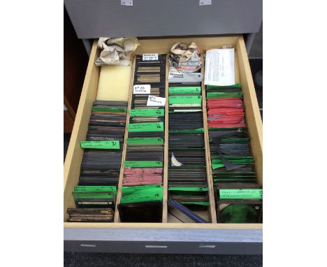 A large collection of unboxed late 19th/early 20th Century glass slides, some annotated, subjects Topographical, Botanical, R