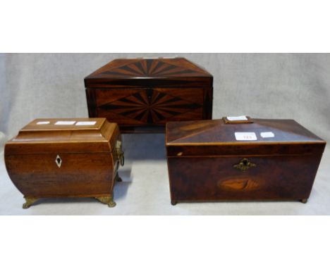 A REGENCY SARCOPHAGUS BURR YEW TEA CADDY with conch shell inlay, 29cm wide and two similar tea caddies (3)