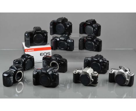 A Tray of SLR Camera Bodies, two Canon EOS 5, two EOS 30,  two EOS 100, an EOS 300, EOS 300n, Nikon F-601, Minolta Dynax 2xi,