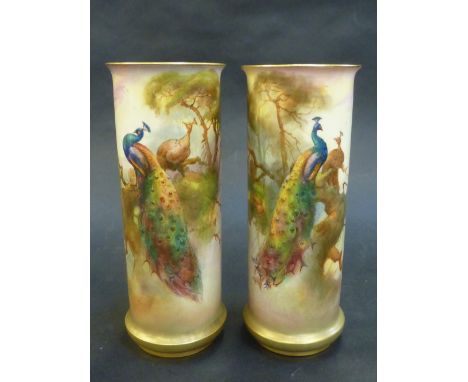 A PAIR OF ROYAL WORCESTER SLEEVE VASES, date c.1917, shape number 2510, signed Sedgley, decorated with peacocks in pine branc