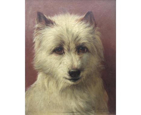 RICHARD ANSDELL, RA (1815-1885) HEAD OF A WEST HIGHLAND WHITE TERRIER Signed, oil on panel, slip frame 22 x 17cm. ++ Needs a 