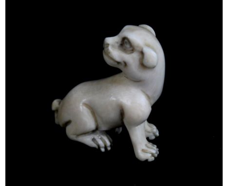 A Japanese Meiji period carved ivory netsuke of a dog, length 3.5cm.