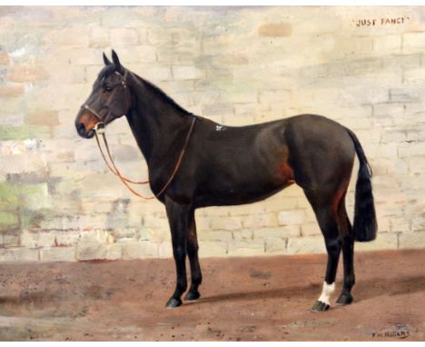§ Frances Mabel Hollams (1877-1963) oil on canvas Portrait of a horse, 'Just Fancy' signed, Frost and Reed label verso 16 x 2