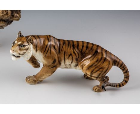 Schreitender Tiger Max Hermann Fritz (Entwurf), Hutschenreuther AG, Selb (Ausführung), nach 1933 Naturalistische Unterglasurb