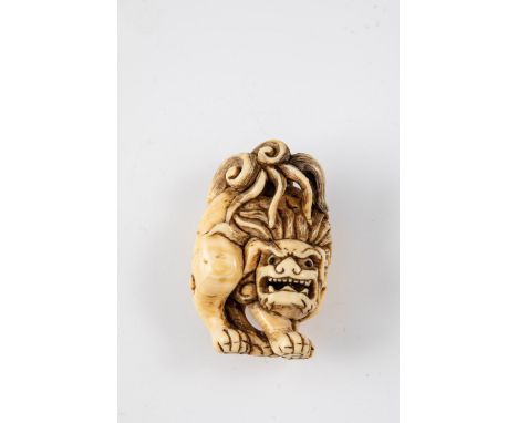 Netsuke Japan, Edo-Periode, 18. Jahrhundert Shishi mit durchbrochen gearbeitetem Schweif und loser Kugel im Maul. Elfenbein g