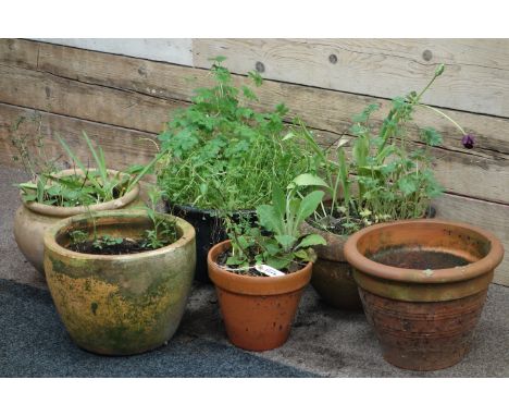Glazed terracotta garden planter and five other garden planters (6)