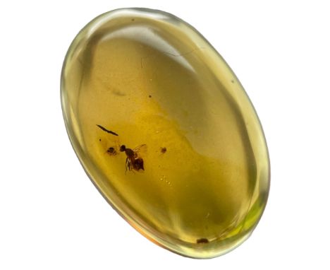 A BEE FOSSIL IN DINOSAUR AGED AMBER,A highly detailed bee, with stinger clearly visible. From the amber mines of Kachin, Myan