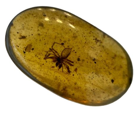 A SPIDER FOSSIL IN DINOSAUR AGED AMBER,A detailed spider in cretaceous amber. From the amber mines of Kachin, Myanmar. Cretac