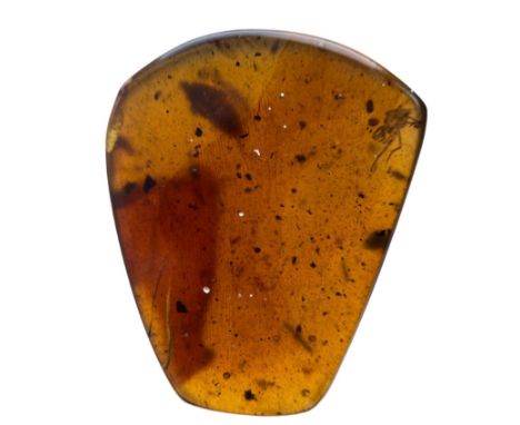 A PARASITIC TICK AND COCKROACH FOSSIL IN DINOSAUR AGED AMBER,From the amber mines of Kachin, Myanmar. Cretaceous - Circa 100 