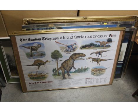 Various poster photographs, modern oil paintings, Natural History museum prints etc