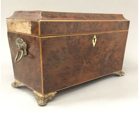 A George III burr yew wood sarcophagus form tea caddy