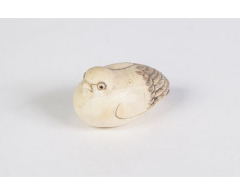 A JAPANESE CARVED IVORY NETSUKE (no holes) of a NESTING BIRD, with glass inset eyes, incised and black inked feathers, signed