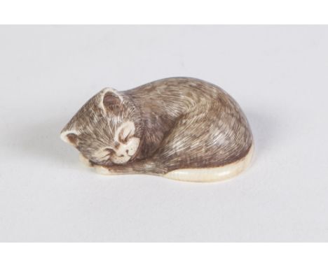 A JAPANESE WELL CARVED IVORY NETSUKE OF A CAT ASLEEP, the fur finely incised and black inked, signed with two characters with