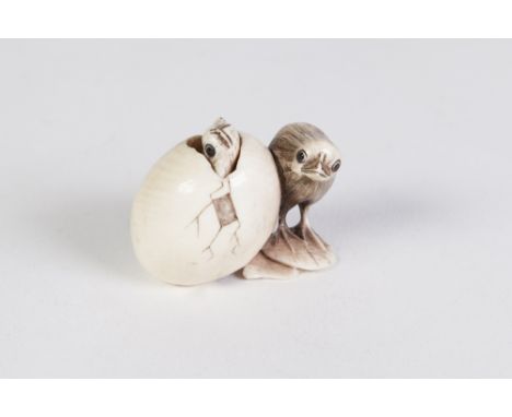 A JAPANESE WELL CARVED IVORY NETSUKE OF A CHICK BESIDE AN EGG FROM WHICH A FURTHER CHICK IS EMERGING, through the broken shel