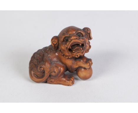A JAPANESE FINELY CARVED BOXWOOD NETSUKE OF A SHI-SHI its right front paw resting a ball, with glass inset eyes, unsigned 