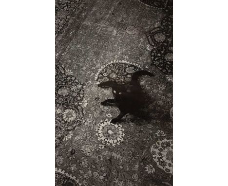 Jeanloup Sieff (1933-2000)'Cat 1986', gelatin silver print, unsigned, labelled to the reverse, 28cm x 18cmCondition report: O