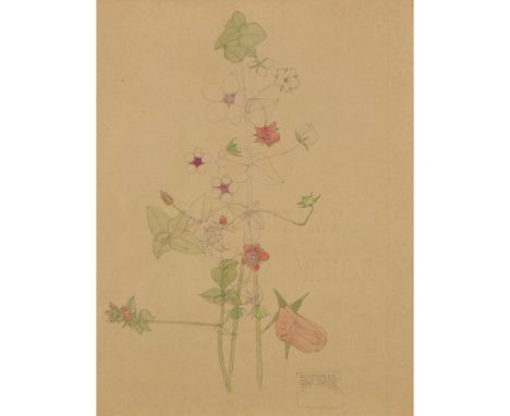  CHARLES RENNIE MACKINTOSH (1868-1928) 'PIMPERNEL', 1901 pencil and watercolour, signed and inscribed lower right PIMPERNEL/ 