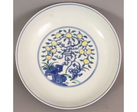 A CHINESE DOUCAI PORCELAIN SAUCER DISH, decorated with stylised branches of peach above rockwork and lingzhi, the base with a