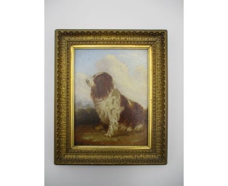 A framed oil painting on board entitled on reverse with No 2 "Portrait of Family Spaniel" by John Porter (Chippenham) - overa