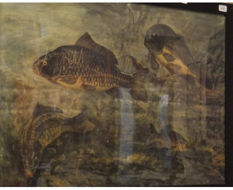 AFTER F K PILKINGTON "Carp in river", colour print