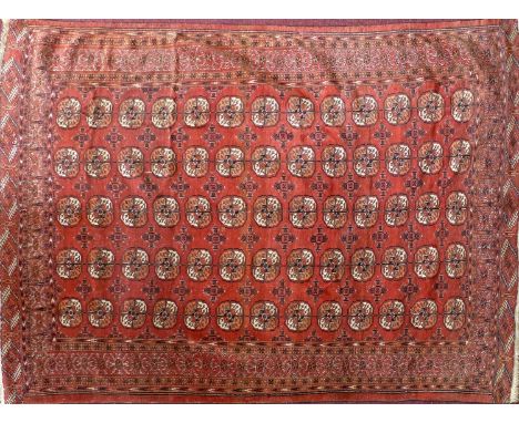 A fine antique Bokhara carpet with repeating gull motifs, on a red and black ground, contained by geometric borders, 195 x 15