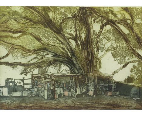 Brenda Hartill (British, b.1943) 'Theo's Shed' colour etching, signed, inscribed, dated 1989 and numbered 23/100 to lower mar