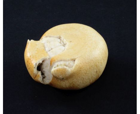 A Japanese coloured ivory model of a partially peeled satsuma, early 20th century, 7cm. A Japanese coloured ivory model of a 