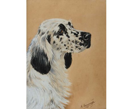 R BERGERON Head study of a dalmation, signed, watercolour, 26.5 x 20cm