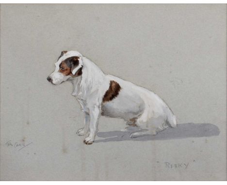 Tom Carr (1912-1977)"Risky", Study of a Jack RusselSigned, pencil and watercolour, 25.5cm by 32cm; together with a pencil ske