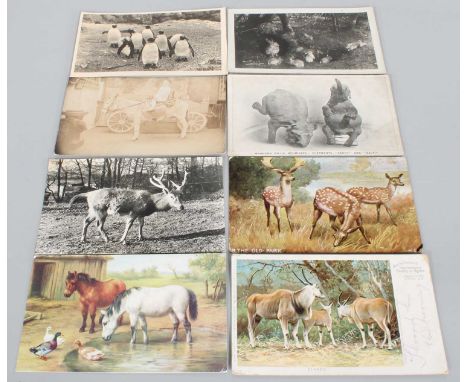 A Large Quantity of Mixed Postcards, a variety of subject cards and some topographical, many modern cards but some vintage, i