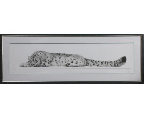 Gary Hodges - 'Snow Leopard' , 20th century monochrome print, signed and editioned 289/850 in pencil, 21.5cm x 90cm, within a
