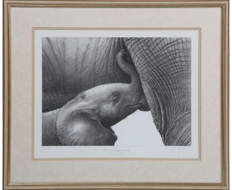 Gary Hodges - 'Baby African Elephant Suckling', 20th century monochrome print, signed and editioned 173/850 in pencil, 34.5cm