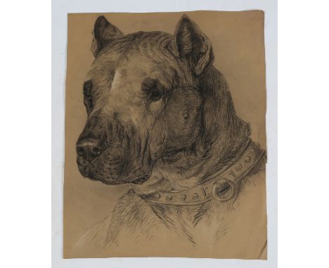 British School - Portrait of a Dog, possibly an American Staffordshire Terrier, 19th century charcoal, 42cm x 32cm, together 