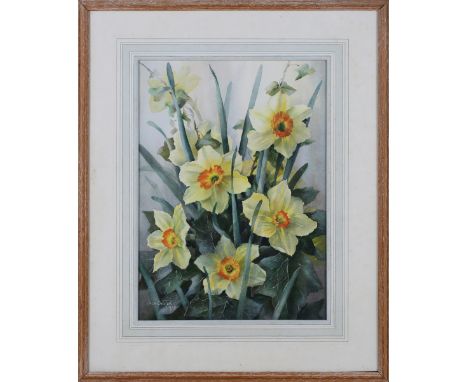 Jack Carter - Daffodils, watercolour, signed and dated 1973, 34cm x 24cm, within a stained wood frame.Buyer’s Premium 29.4% (
