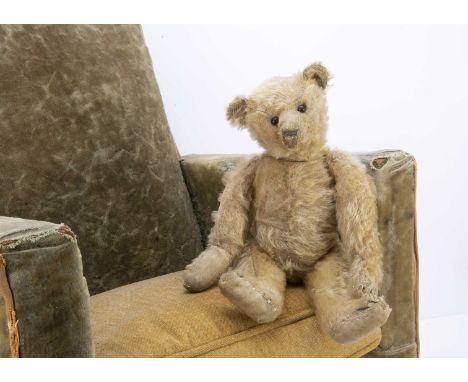 An early Steiff teddy bear with blank button circa 1906, with blonde mohair, black boot button eyes, pronounced clipped muzzl