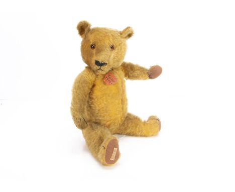 A Chad Valley Magna teddy bear with rare card tag 1930s, with golden mohair, orange and black glass eyes, pronounced muzzle, 