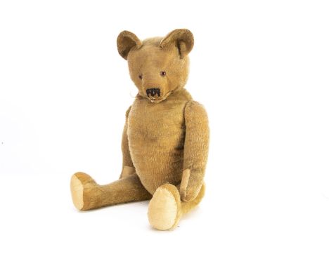 A 1920s teddy bear, probably French with short golden mohair, orange and black glass eyes, pronounced muzzle with black stitc