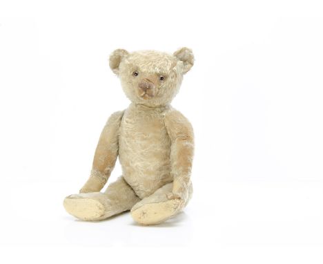 A 1920s Bing white mohair teddy bear,  with clear and black glass eyes with pale brown backs, pronounced clipped muzzle, brow