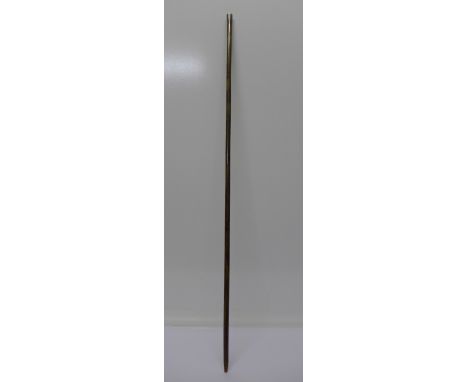 A silver-topped swagger stick