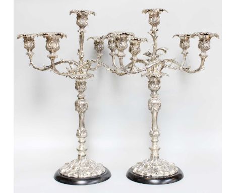 A Pair of Silver Plate Five-Light Candleabra, each on leaf-cast base, the baluster stem similarly decorated and terminating i